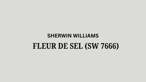 Sherwin Williams Fleur De Sel (SW 7666): A Review