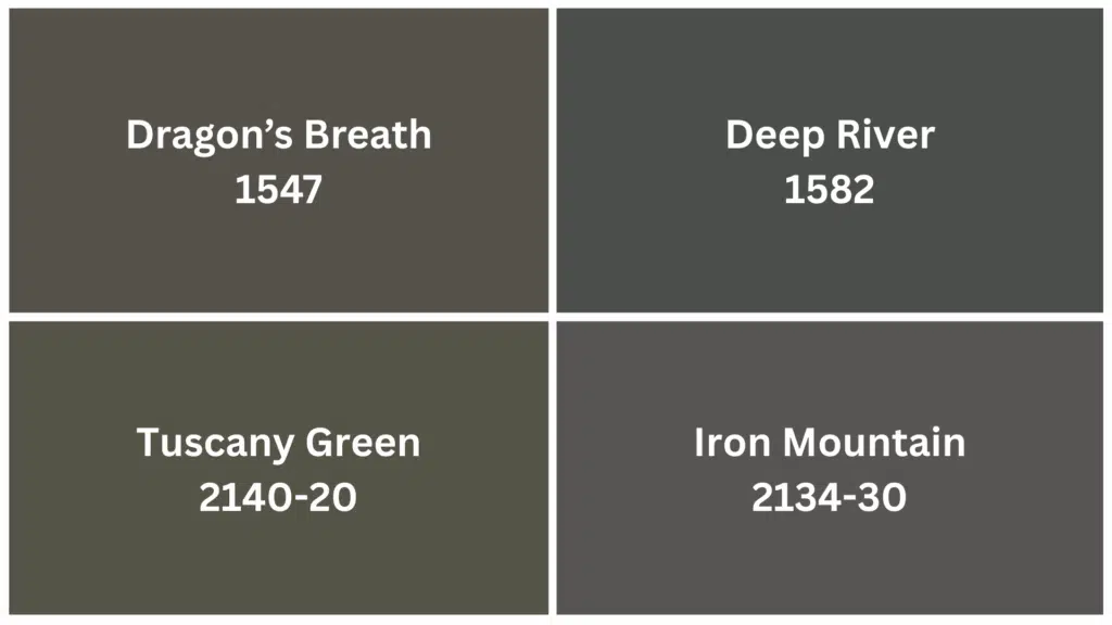 Similar Paint Colors: Perfect Alternatives to BM Ashwood Moss