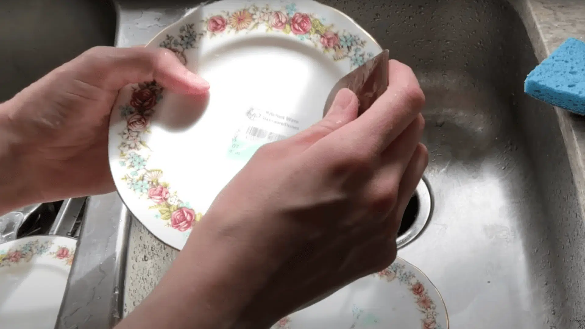 Step_3_Clean_and_Prepare_the_Plates