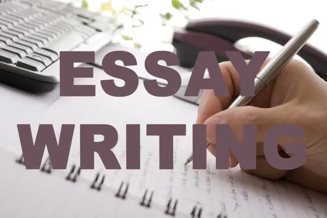 What Makes a Service Worth the Investment?