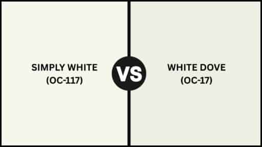 simply white vs white dove