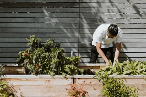 The New Era of Outdoor Landscaping: Wellness, Sustainability, and Storytelling