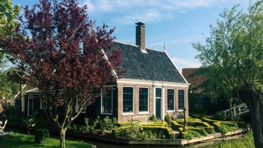 The Cost-Effective Power of Visualization: Architectural 3D Animation Services for Homeowners on a Budget