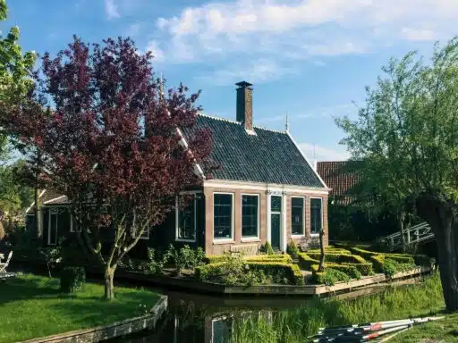 The Cost-Effective Power of Visualization: Architectural 3D Animation Services for Homeowners on a Budget