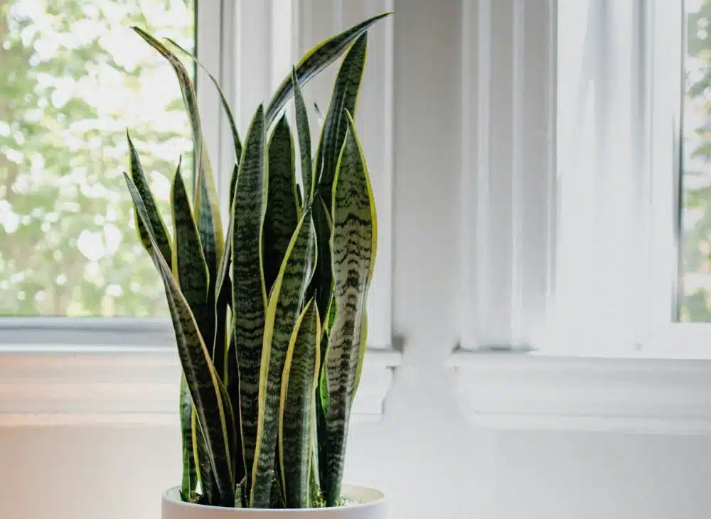 Air Quality Improvement