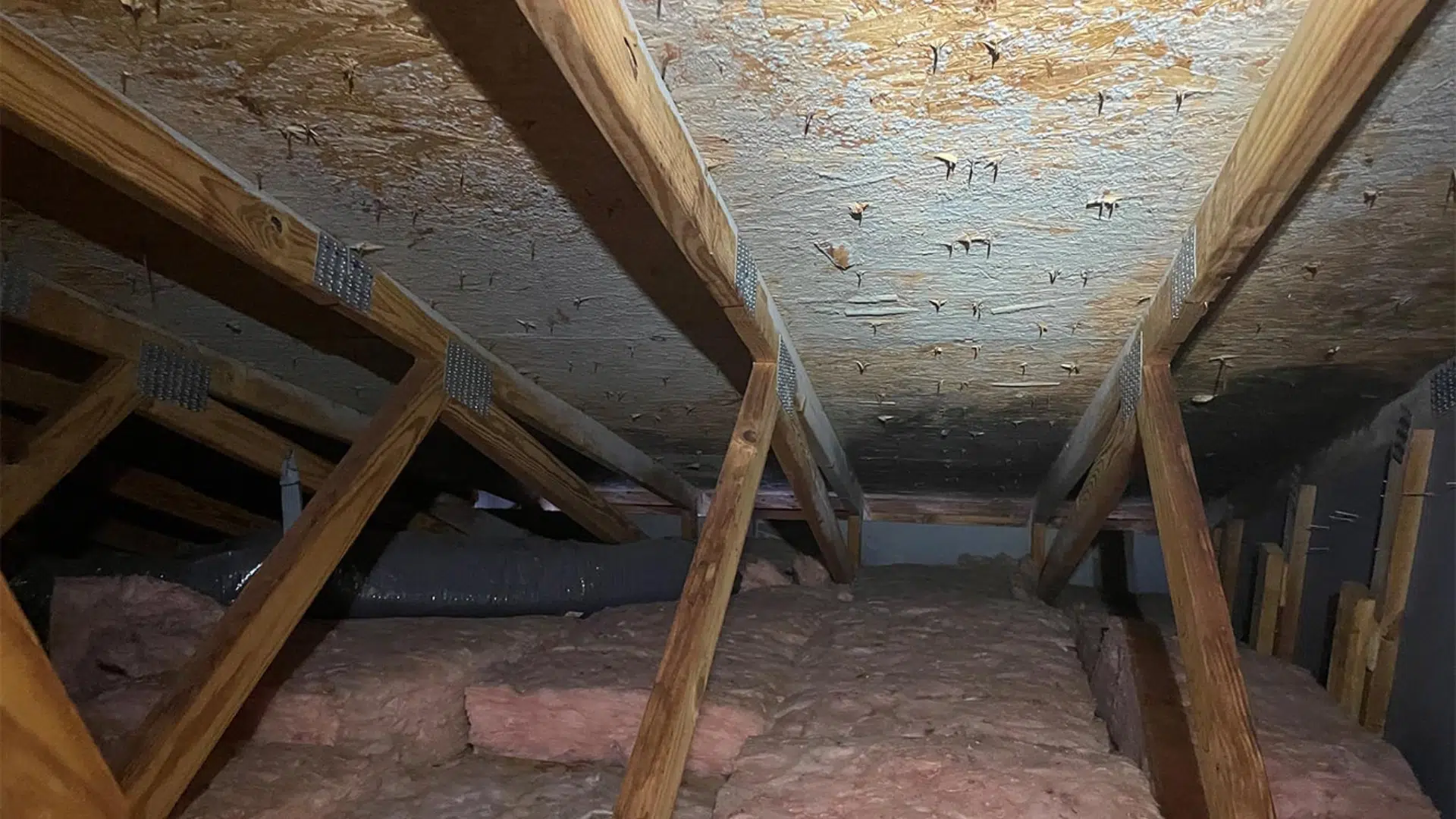 Attic_Condensation