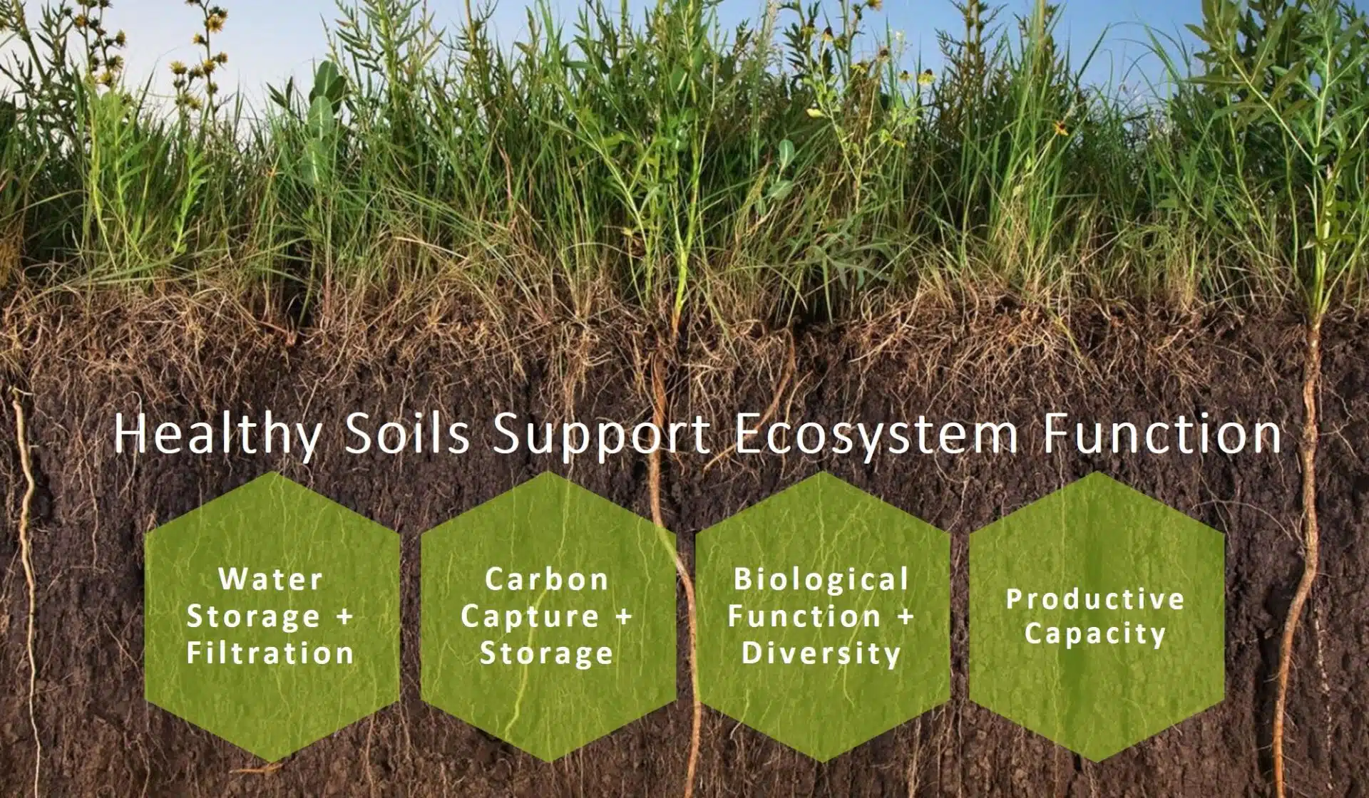 Bed Rehabilitation and Soil Revitalization: Taking Care of the Fundamental