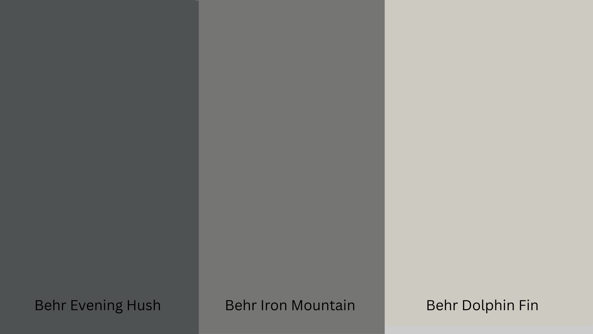 Behrs_Version_of_Wolf_Gray