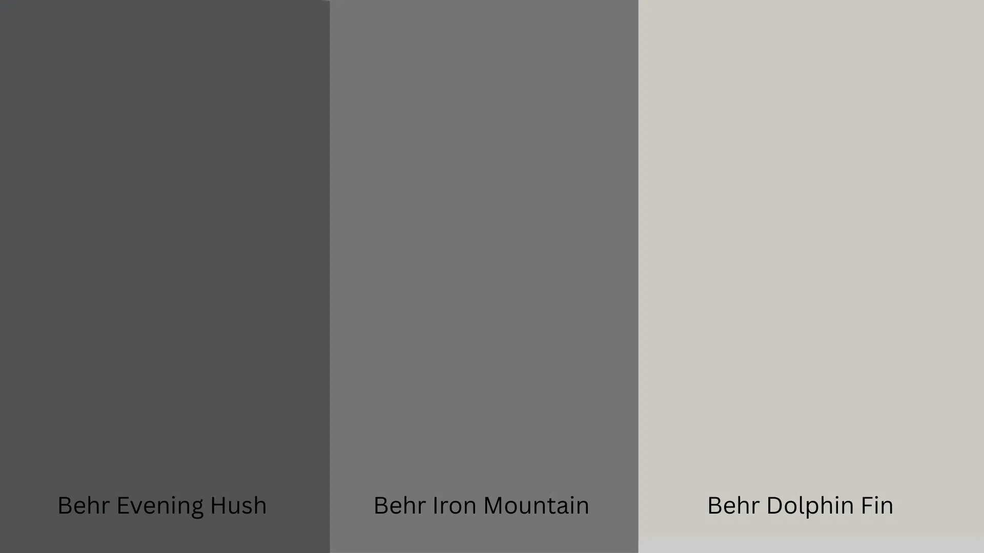 Behrs_Version_of_Wolf_Gray