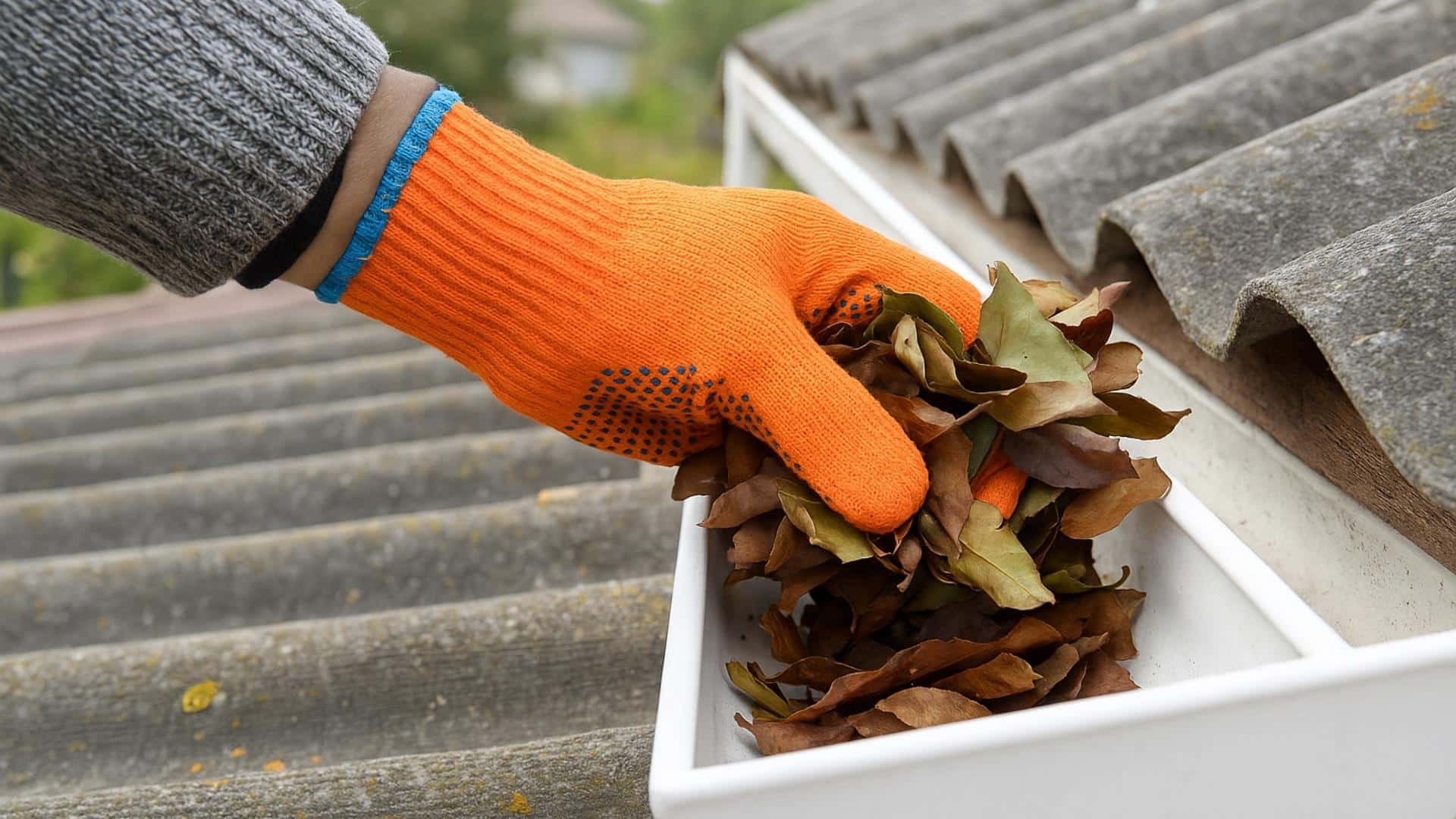 Clean_and_Maintain_Gutters