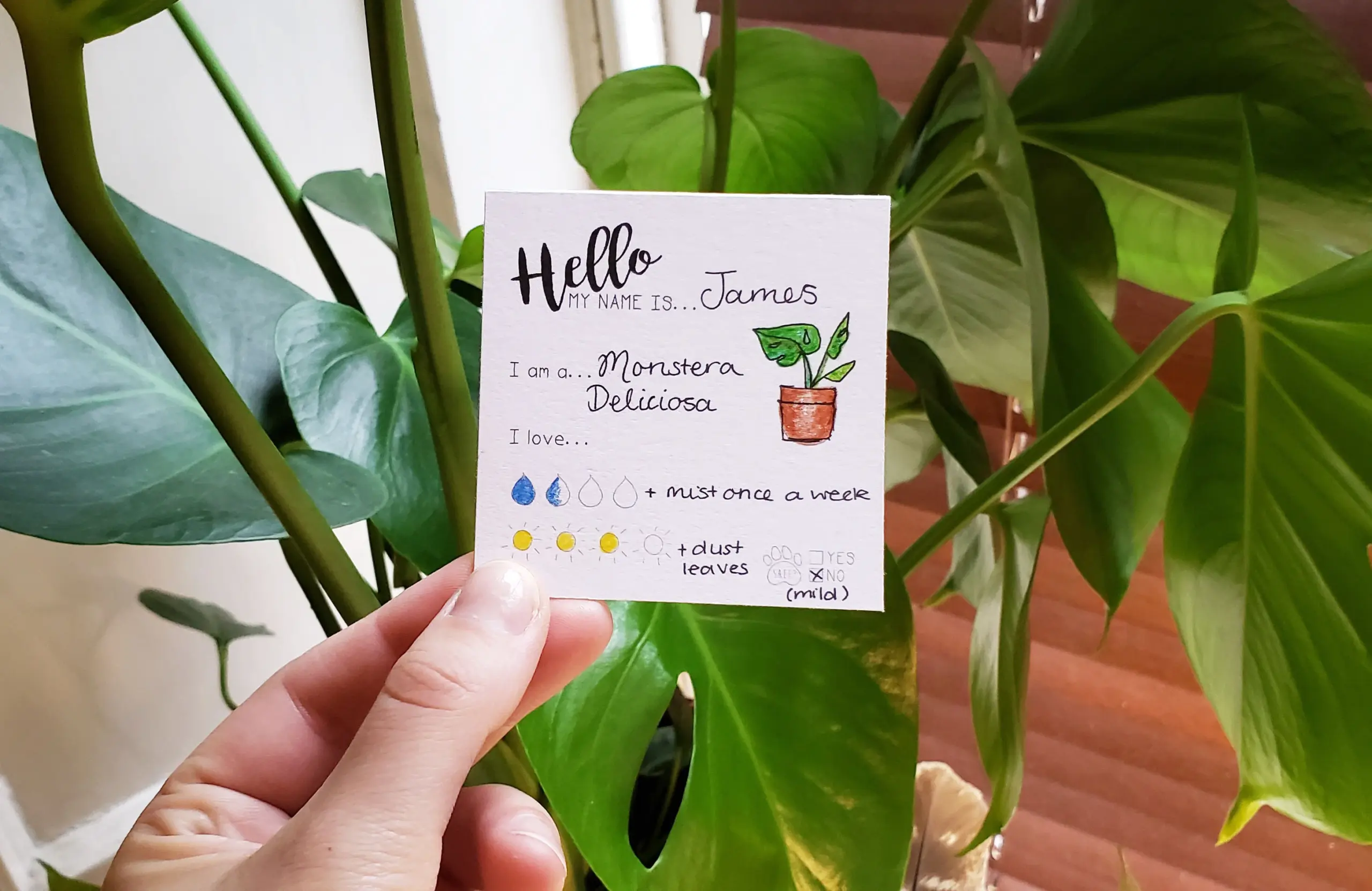Design Your Plant Tags