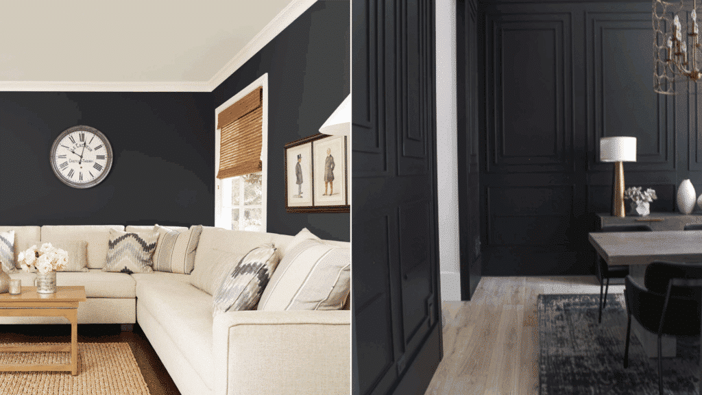 Key Differences Between Sherwin-Williams Caviar and Tricorn Black