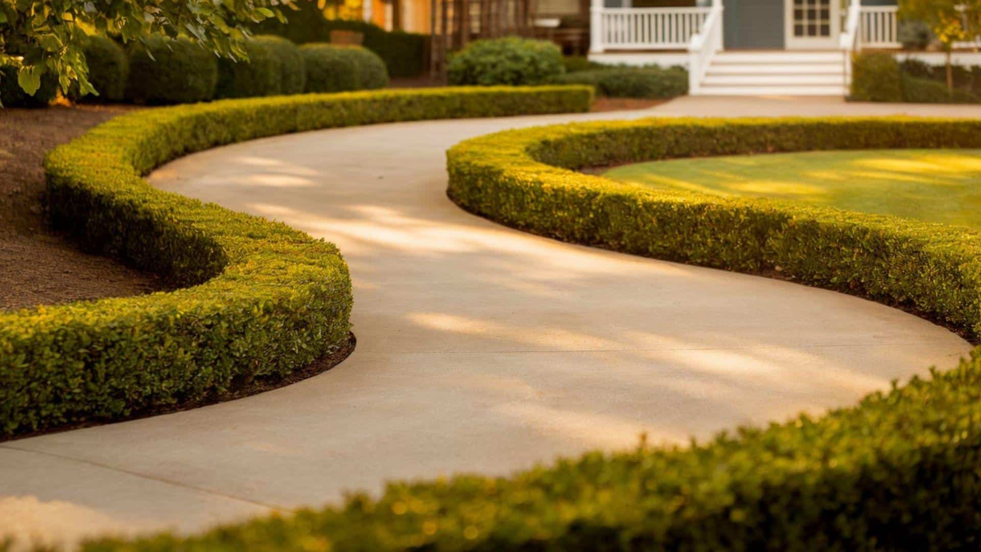Low_Boxwood_Edging