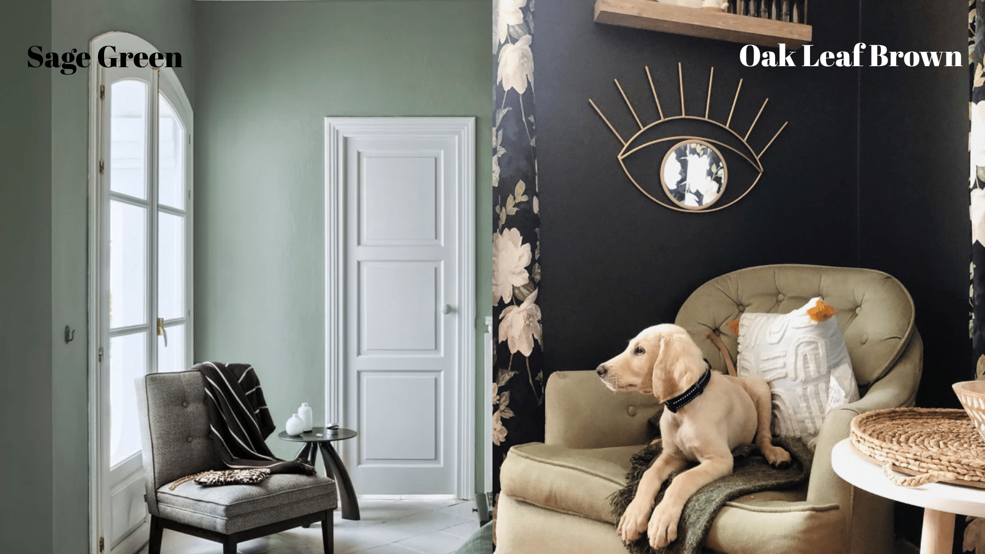 Muted_Earth-Inspired_Colors