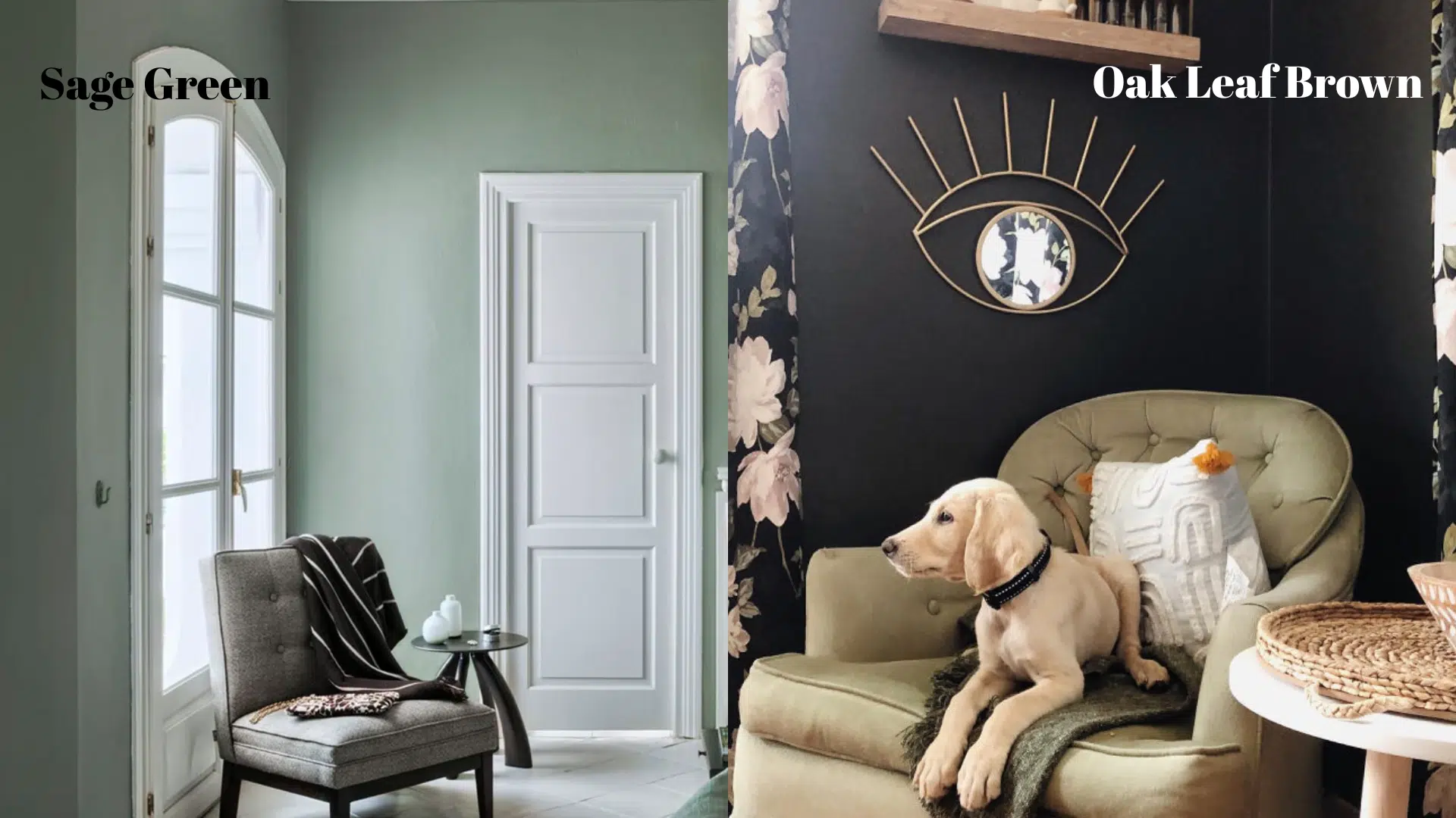 Muted_Earth-Inspired_Colors