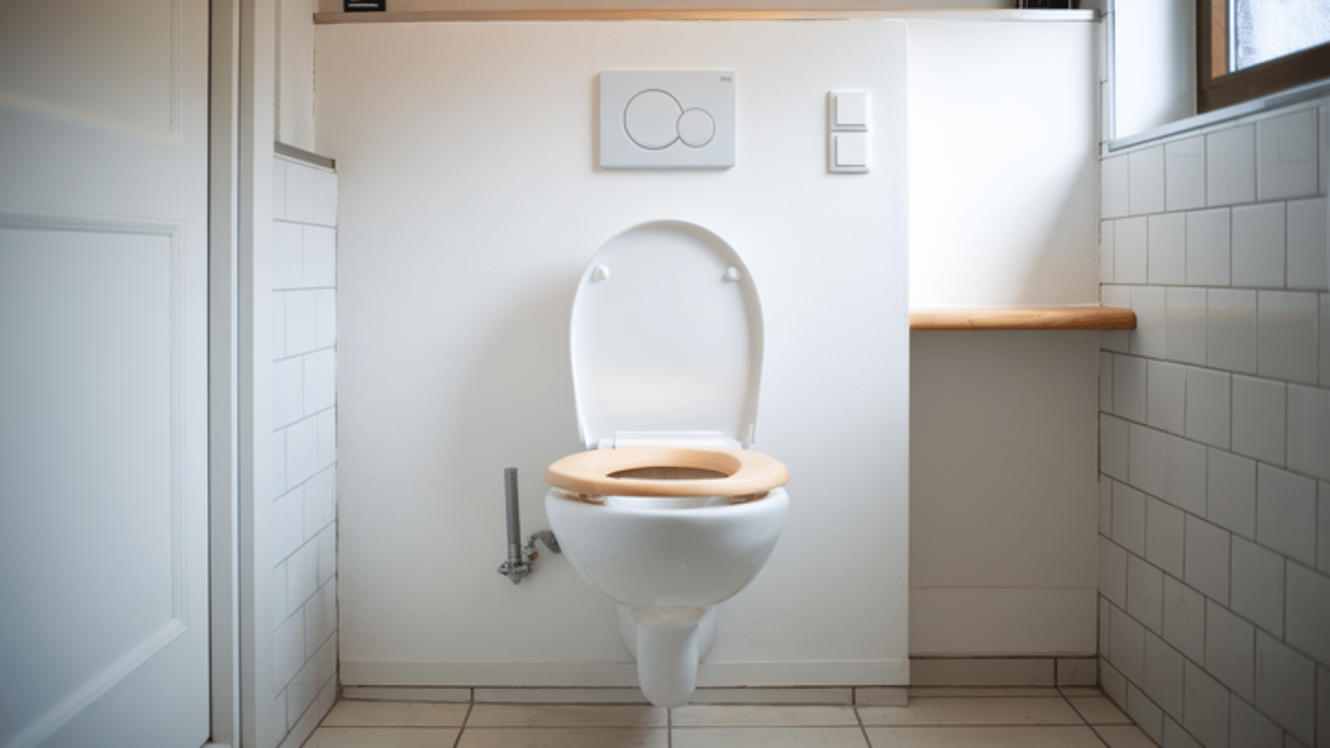 Replace_Your_Toilet_Seat