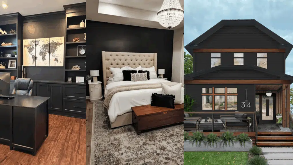 Sherwin-Williams Caviar (SW 6990)