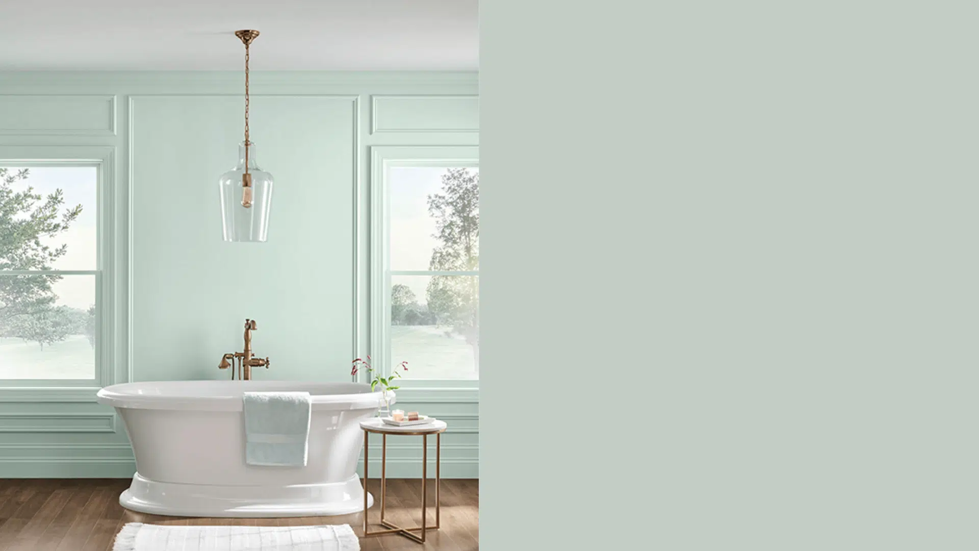 Sherwin-Williams_Rainwashed_Overview