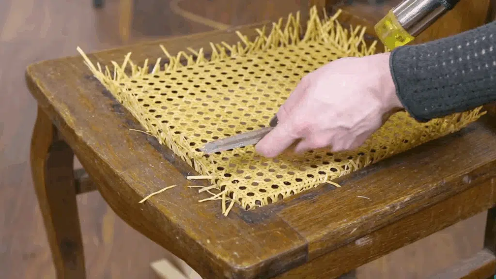 Trim the Excess Cane