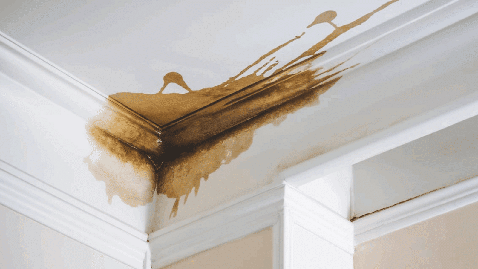 Bowing Walls: What They Mean and How to Fix Them - Enthralling Gumption