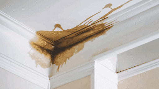 how-to-spot-early-signs-of-water-damage