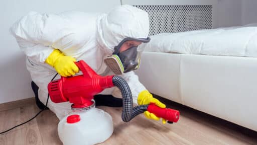 What Omaha Homeowners Should Expect from Local Pest Control Services