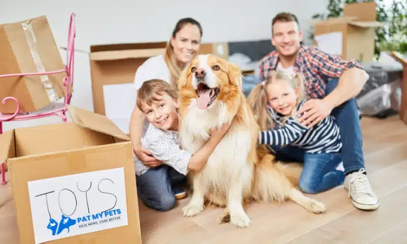 Moving With Pets in the City: Finding Pet-Friendly Rentals and Surviving the Relocation