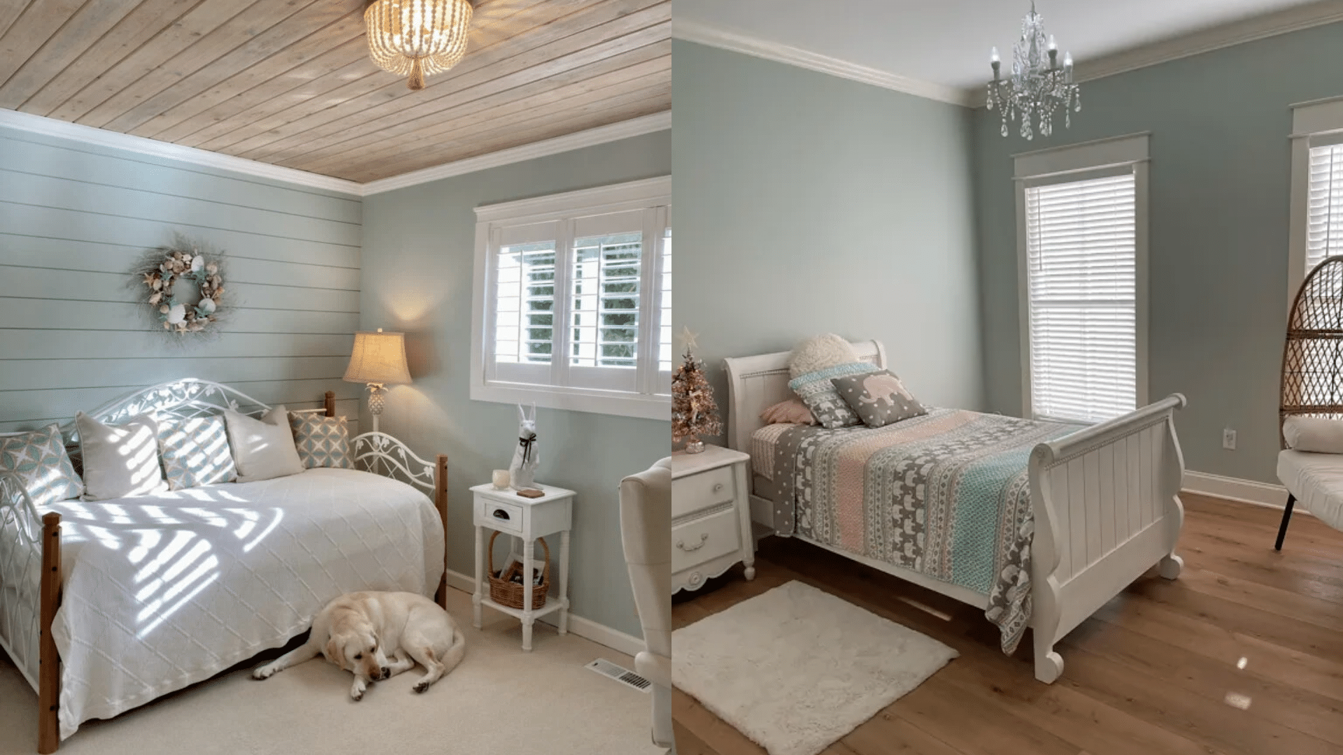 sherwin williams rainwashed vs sea salt