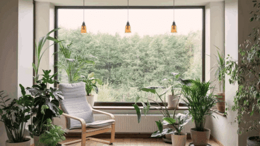 what is a picture window