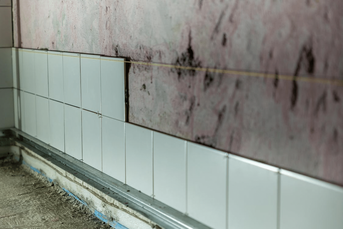 Common Mistakes to Avoid During the Mold Remediation Process Common Mistakes to Avoid During the Mold Remediation Process