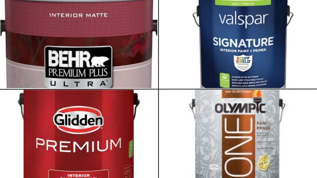 Budget-Friendly Options