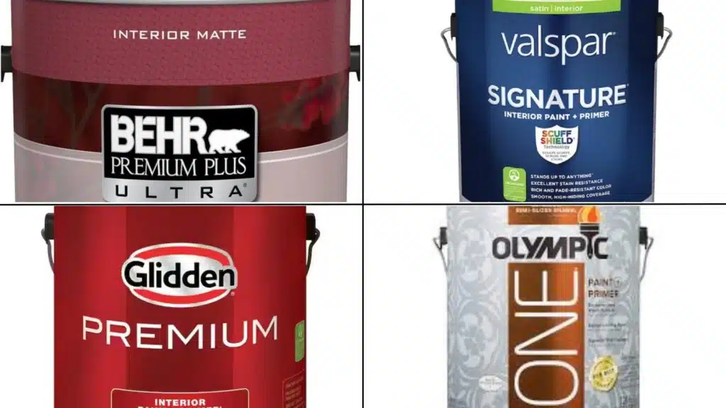 Budget-Friendly Options