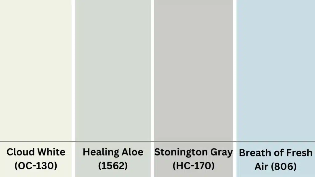 Cool Neutrals for a Modern Look