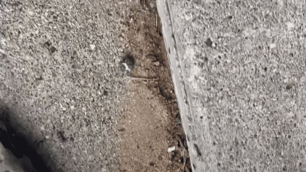 STEP-1 CONCRETE FOAM