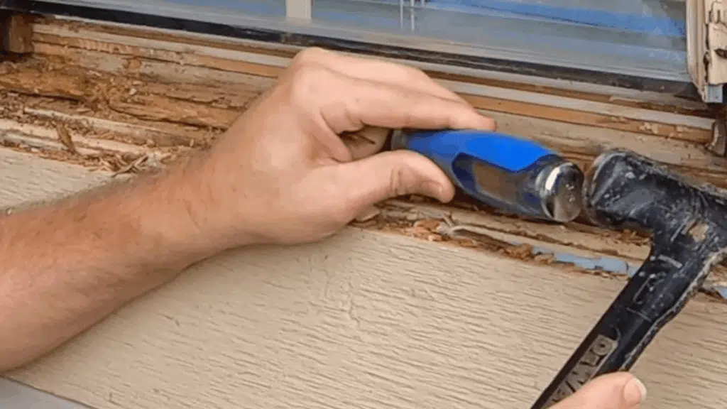 Clear the Area of Damaged Wood