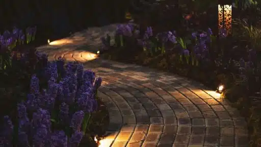 How to Zhuzh up Your Garden With Lighting