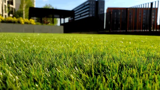 A Cleaner, Greener Look: Synthetic Turf for Residential Spaces