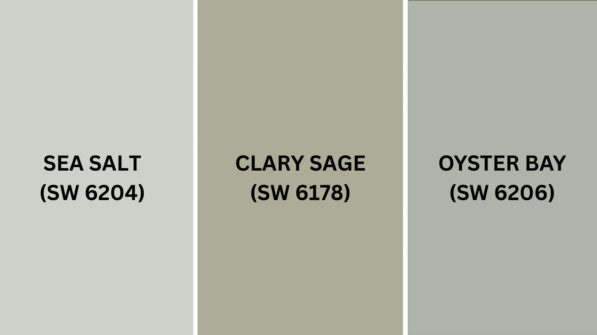 oSimilar_Paint_Colors_Perfect_Alternatives_to_Soft_Sage_SW_9647
