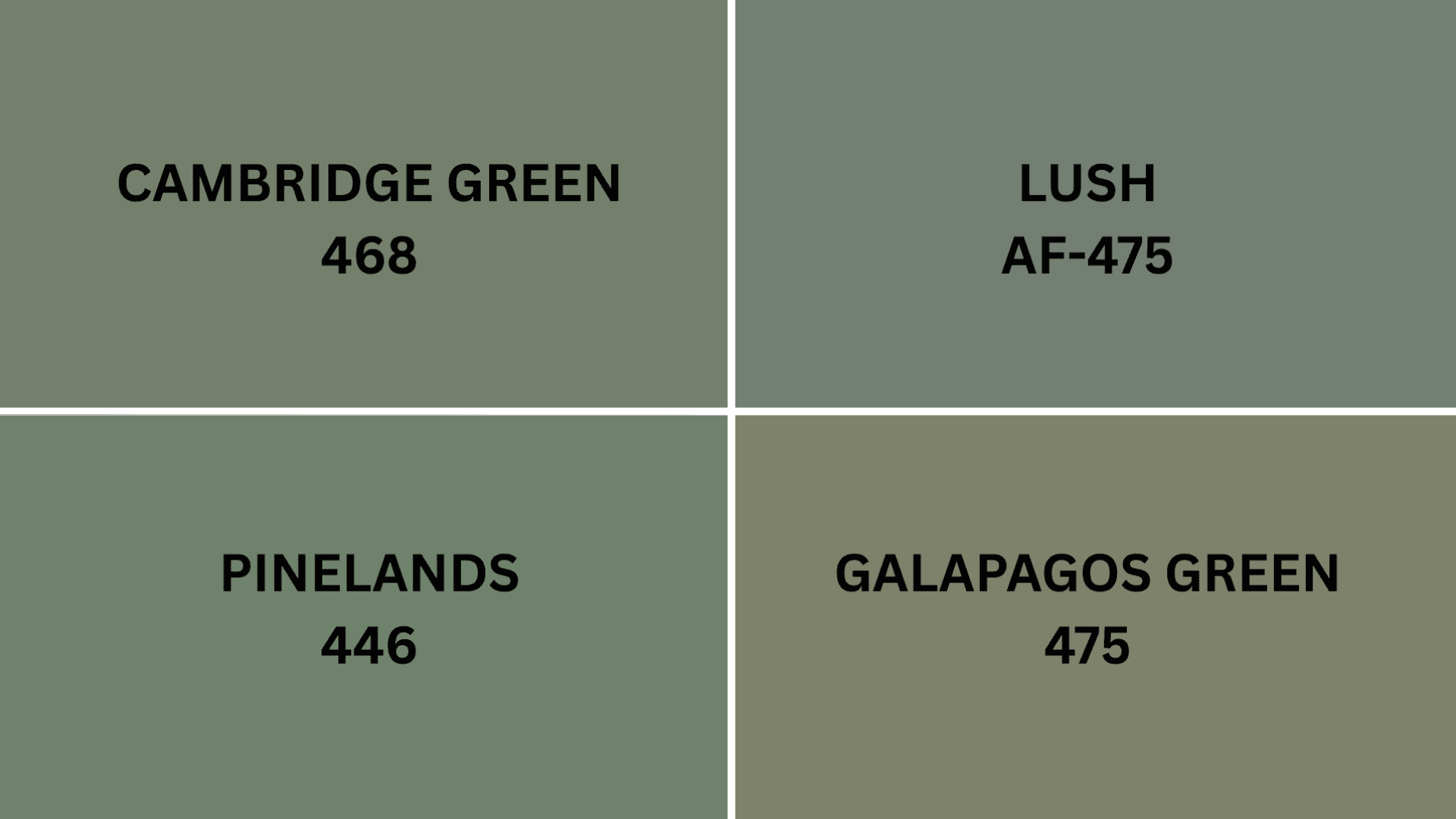 rThe_colors_have_subtle_differences_that_depending_on_your_lighting_and_desired_look_might_make_one_work_better_in_your_home