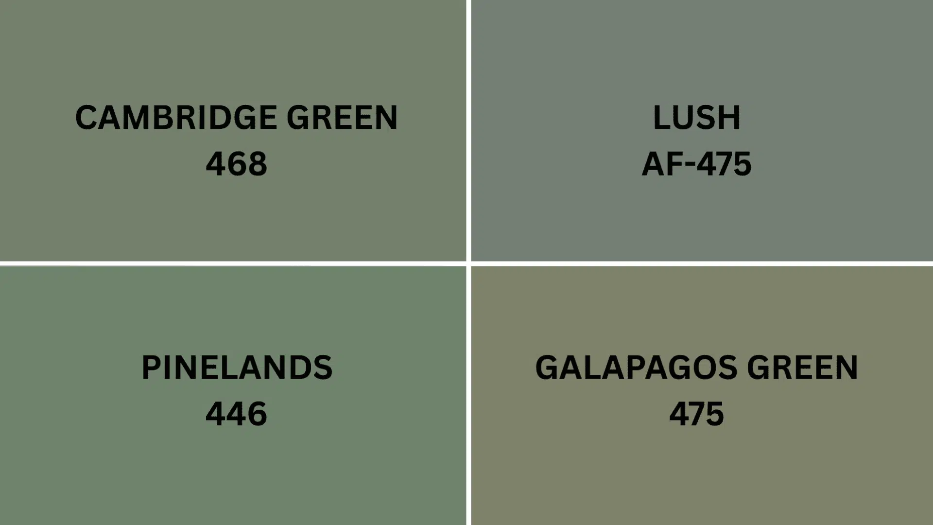 rThe_colors_have_subtle_differences_that_depending_on_your_lighting_and_desired_look_might_make_one_work_better_in_your_home