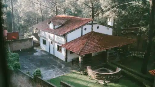 Roof Stains 101: What They Mean and When to Worry