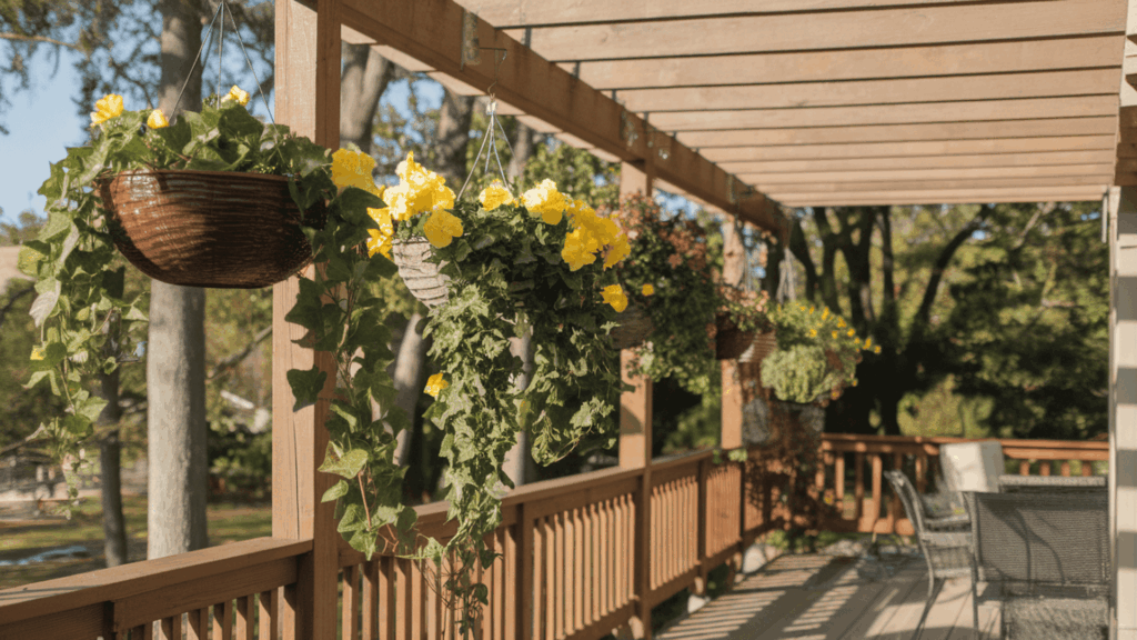 Hanging-Basket-Display