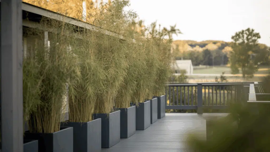 Privacy-Plant-Wall
