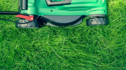 Essential Tips for Maintaining a Beautiful Lawn All Year Round