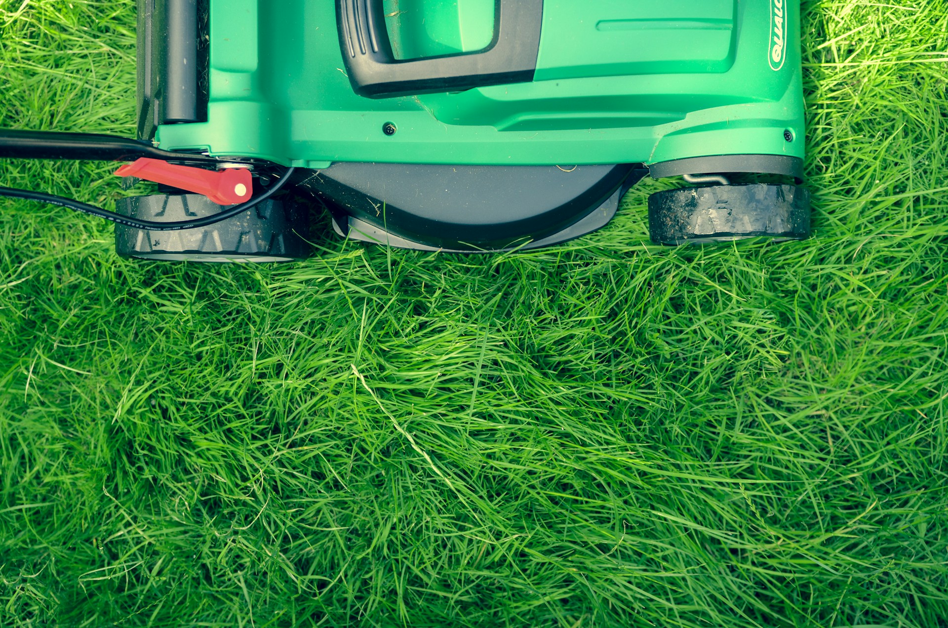 Essential Tips for Maintaining a Beautiful Lawn All Year Round