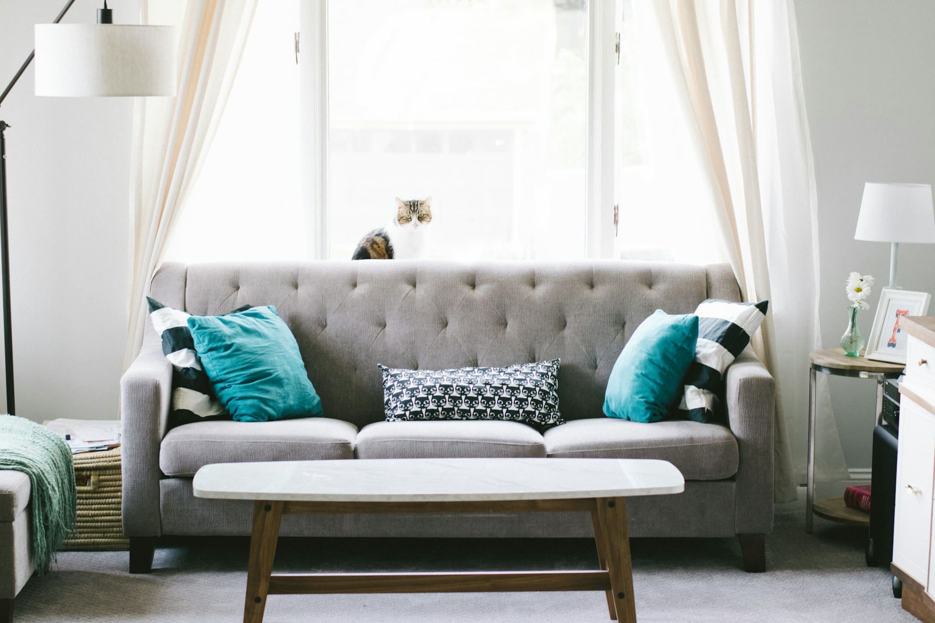 How to Choose Furniture That Fits Modern Decor