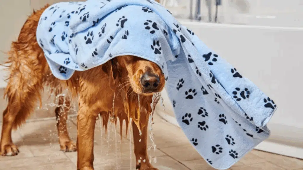 pet-towel