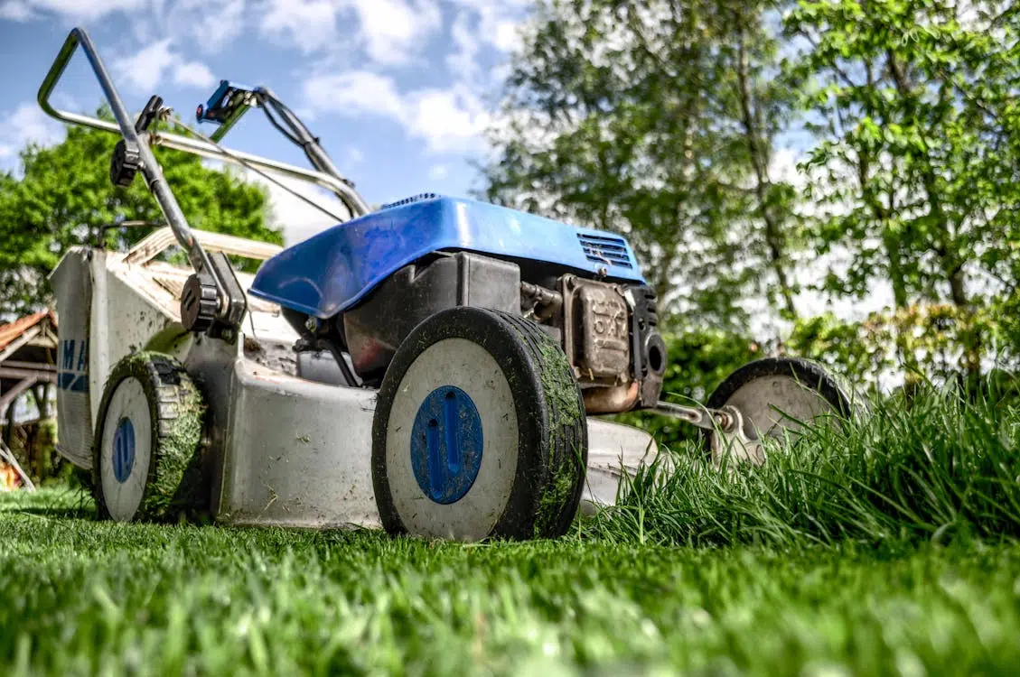 Making Your Garden A Lot Less Work To Maintain