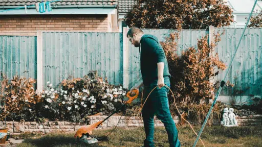 Common Yard Maintenance Mistakes Homeowners Make