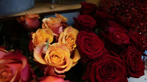Big Bouquets of Roses: How to Transform Your Home with Elegant, Timeless Beauty